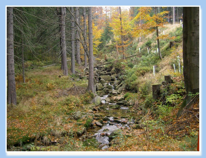 20-22.10.2006 NAROZENINY-JIZERKY 026